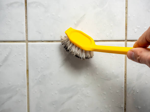 Best Mold Testing  in Hamilton, MO