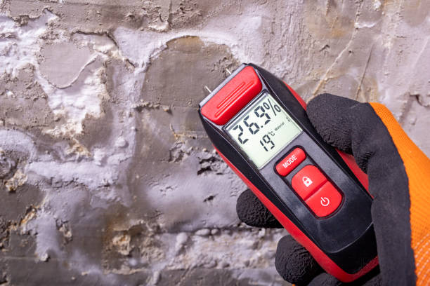 Best Mold Testing  in Hamilton, MO