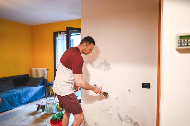 Best Same-Day Mold Removal  in Hamilton, MO